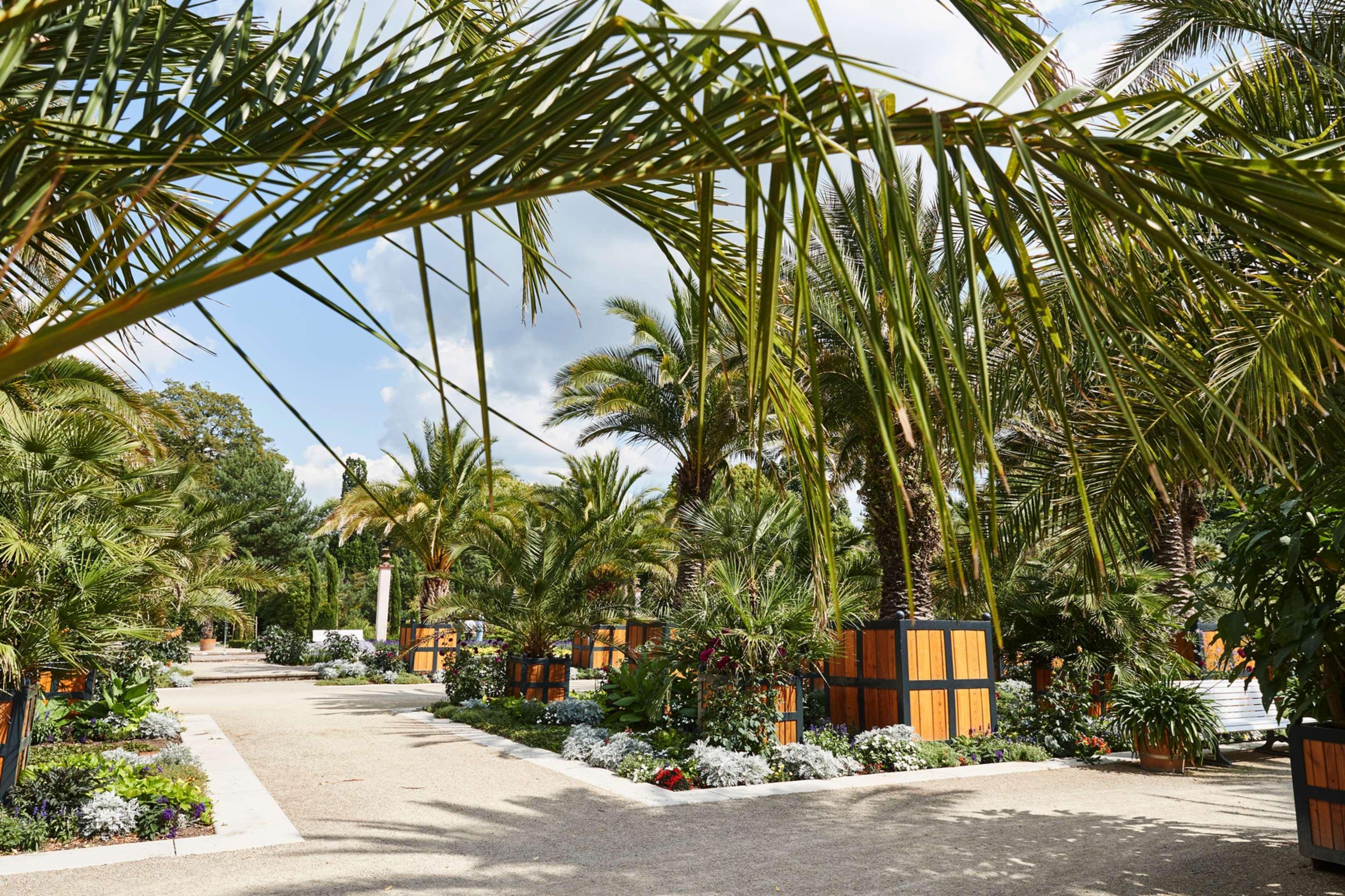 Steigenberger Hotel & Spa Bad Pyrmont Dış mekan fotoğraf The Royal Palm Beach Hotel